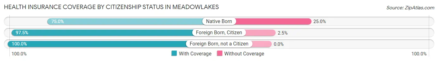 Health Insurance Coverage by Citizenship Status in Meadowlakes