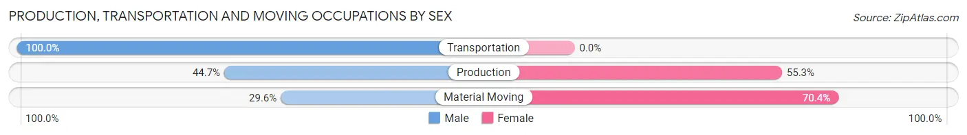 Production, Transportation and Moving Occupations by Sex in Meadows Place