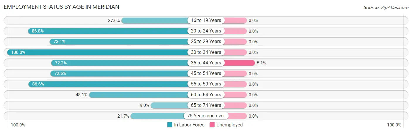Employment Status by Age in Meridian