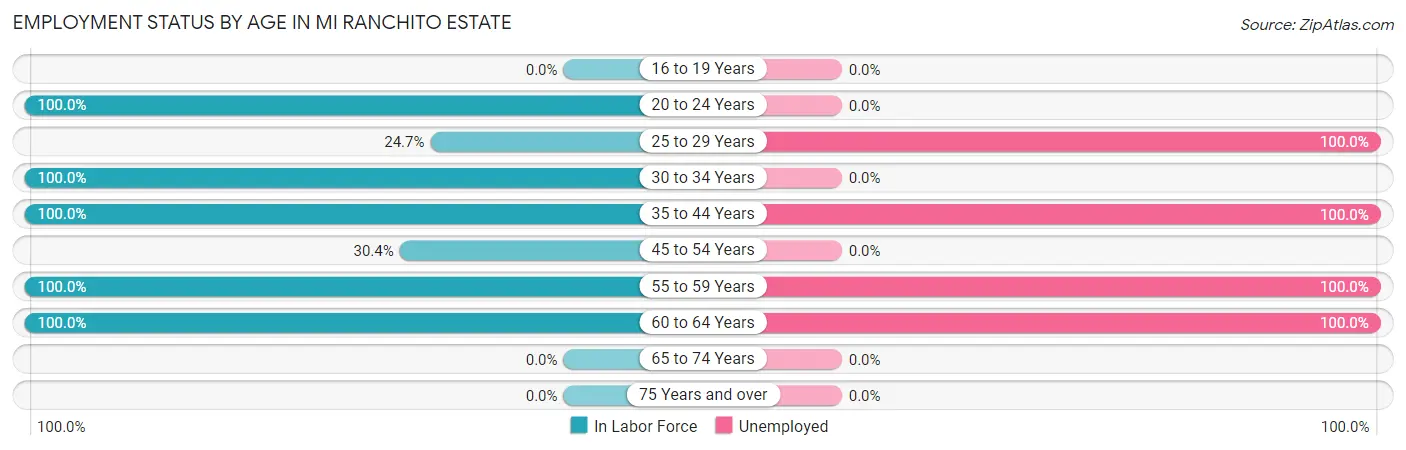 Employment Status by Age in Mi Ranchito Estate