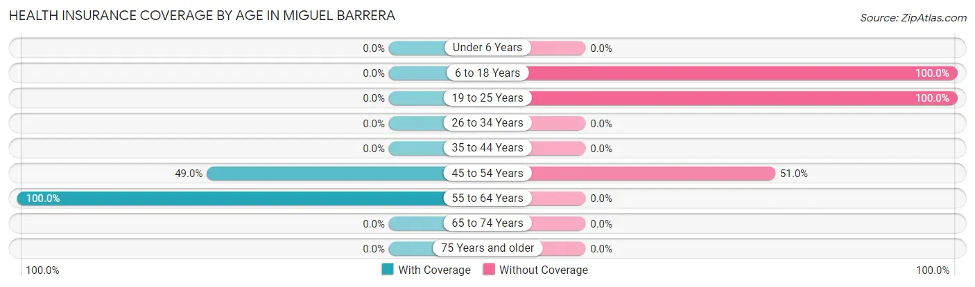 Health Insurance Coverage by Age in Miguel Barrera