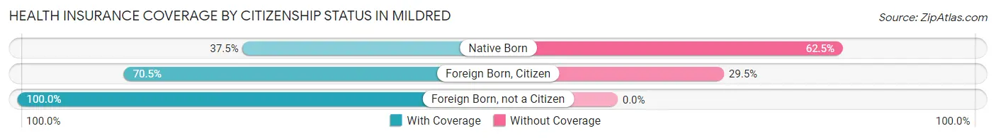 Health Insurance Coverage by Citizenship Status in Mildred