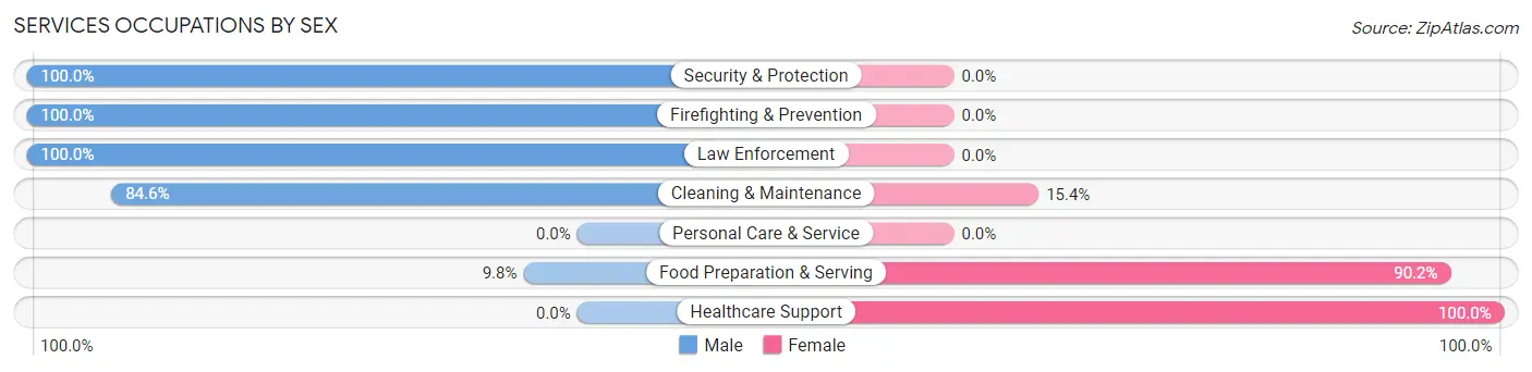 Services Occupations by Sex in Milford