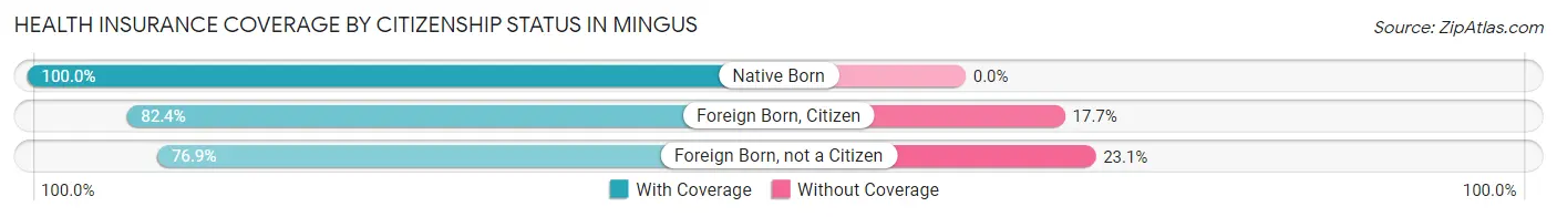 Health Insurance Coverage by Citizenship Status in Mingus