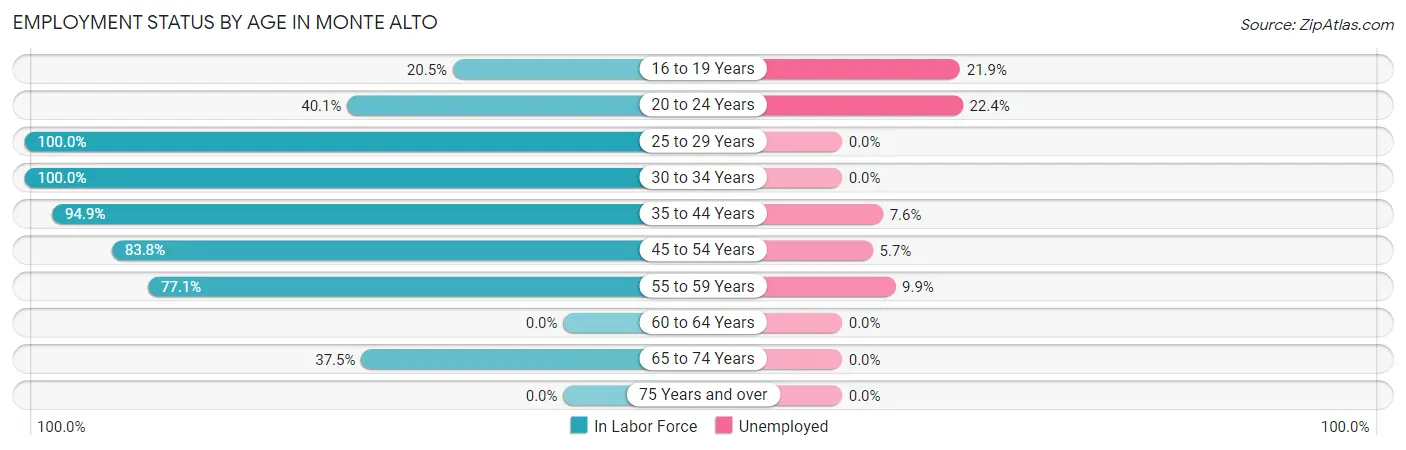 Employment Status by Age in Monte Alto
