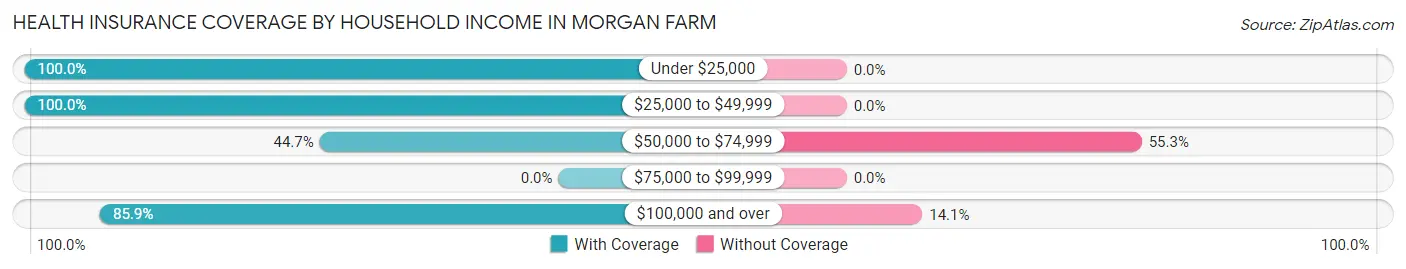 Health Insurance Coverage by Household Income in Morgan Farm