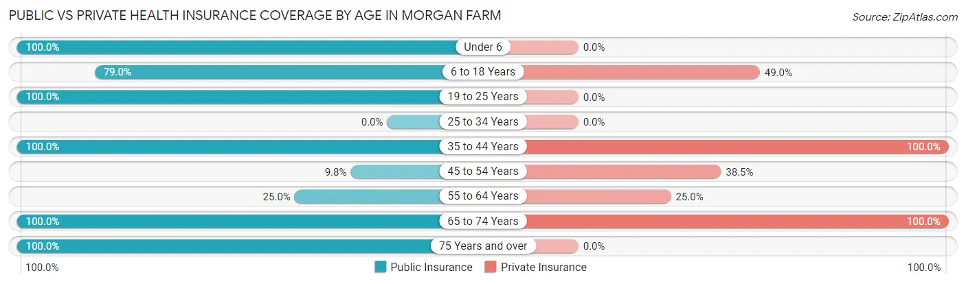 Public vs Private Health Insurance Coverage by Age in Morgan Farm