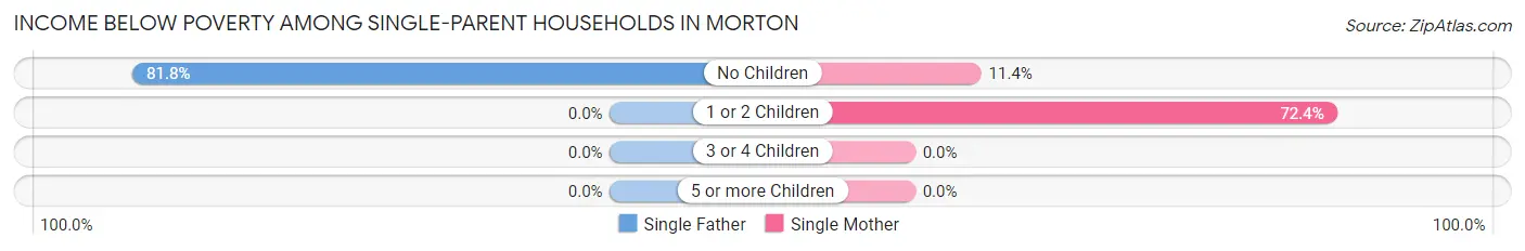 Income Below Poverty Among Single-Parent Households in Morton