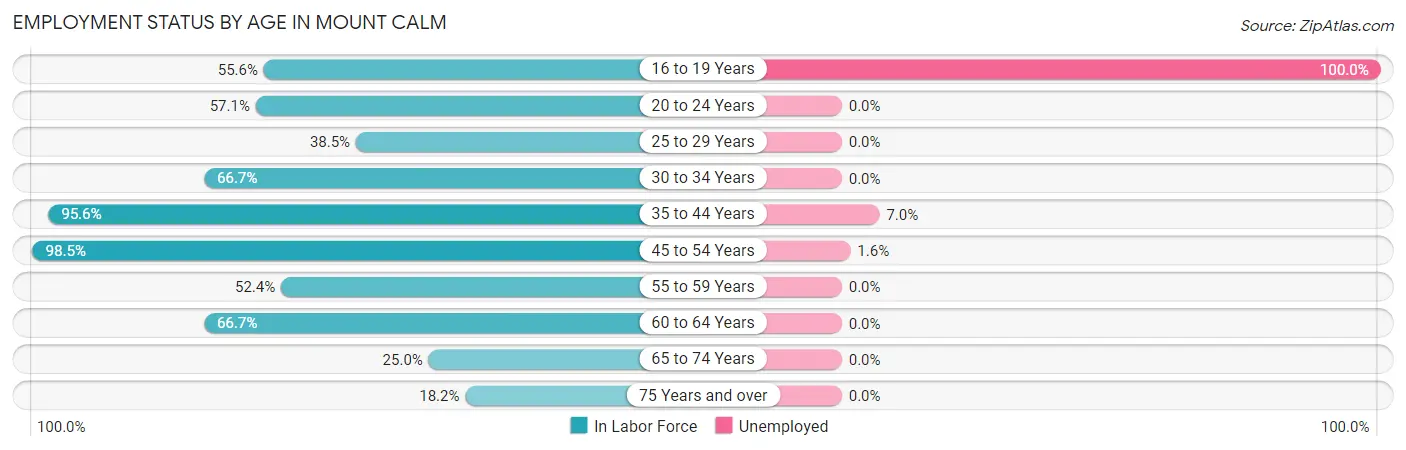 Employment Status by Age in Mount Calm
