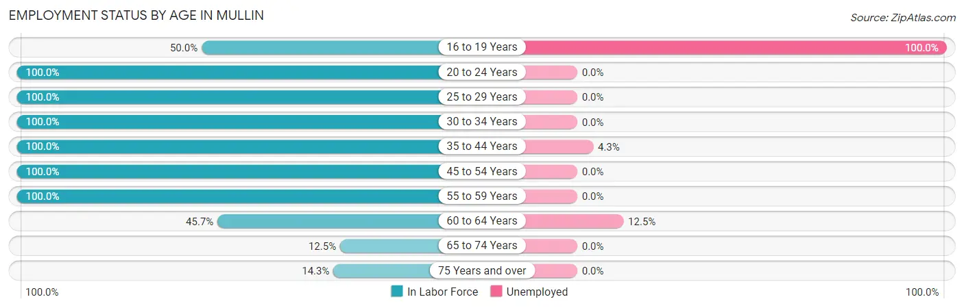 Employment Status by Age in Mullin