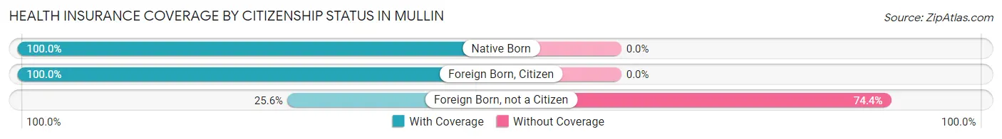 Health Insurance Coverage by Citizenship Status in Mullin