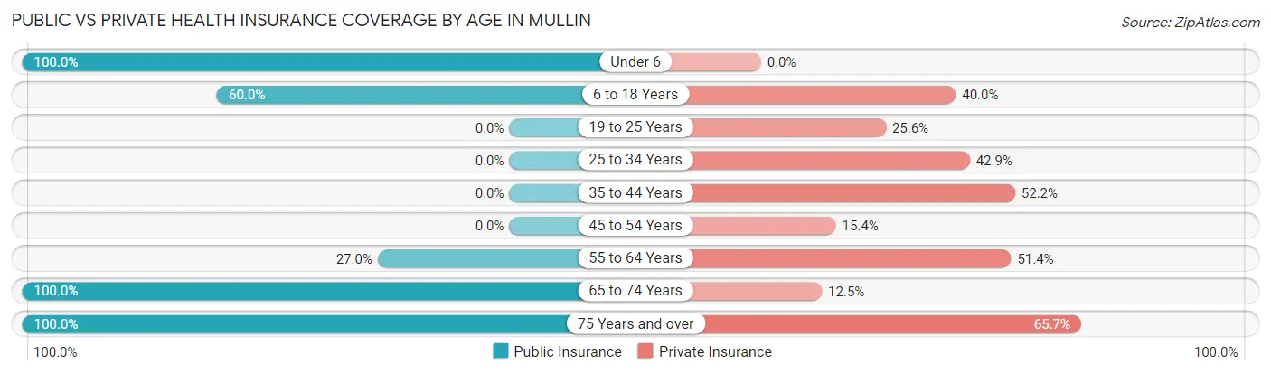 Public vs Private Health Insurance Coverage by Age in Mullin