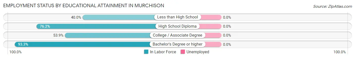 Employment Status by Educational Attainment in Murchison