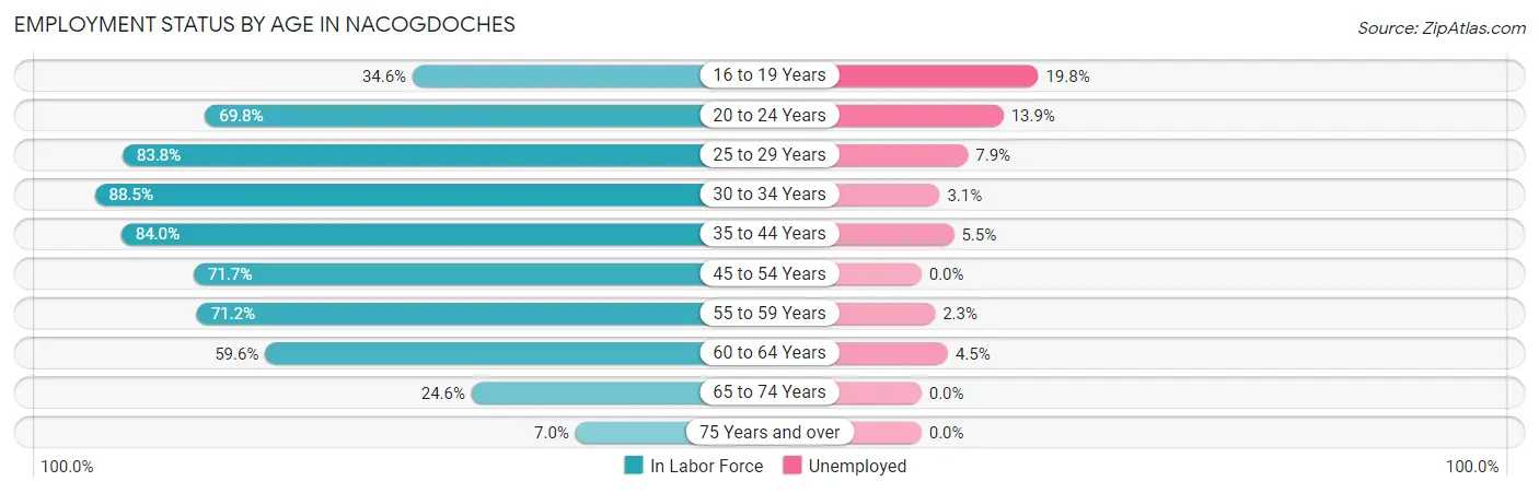 Employment Status by Age in Nacogdoches