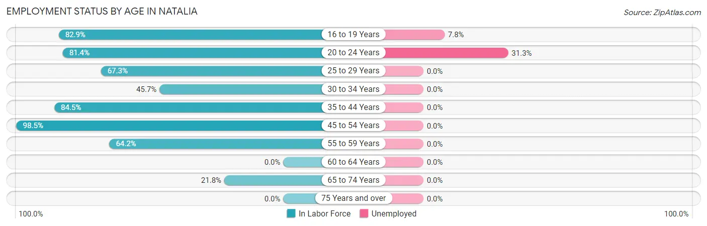 Employment Status by Age in Natalia