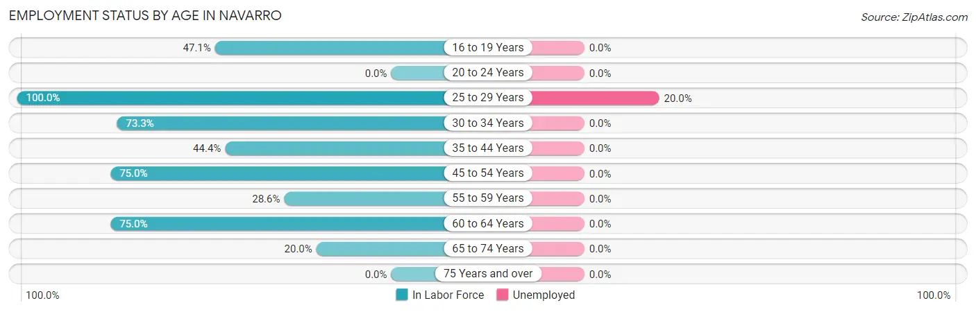 Employment Status by Age in Navarro