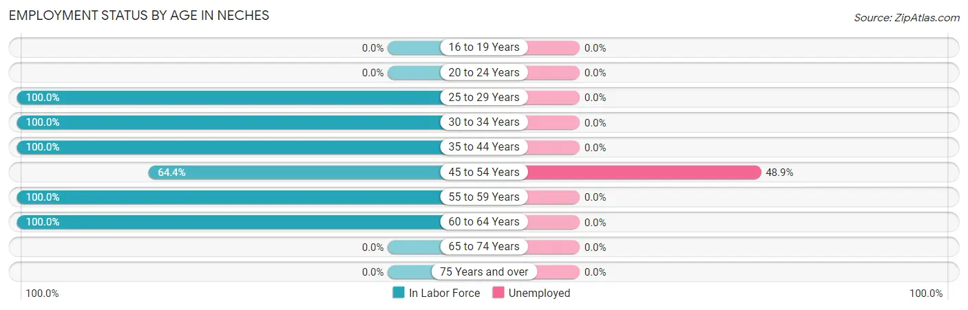Employment Status by Age in Neches