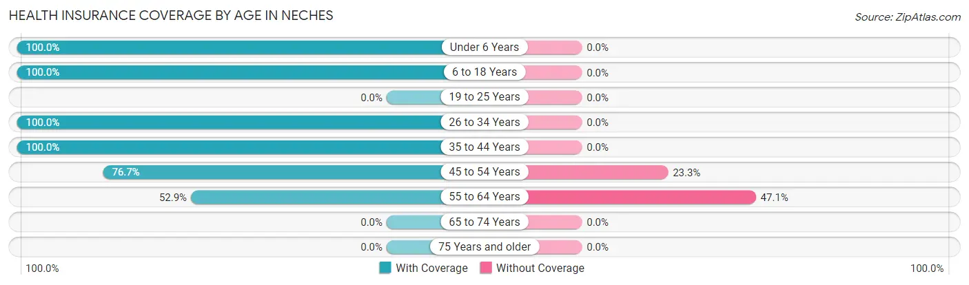 Health Insurance Coverage by Age in Neches