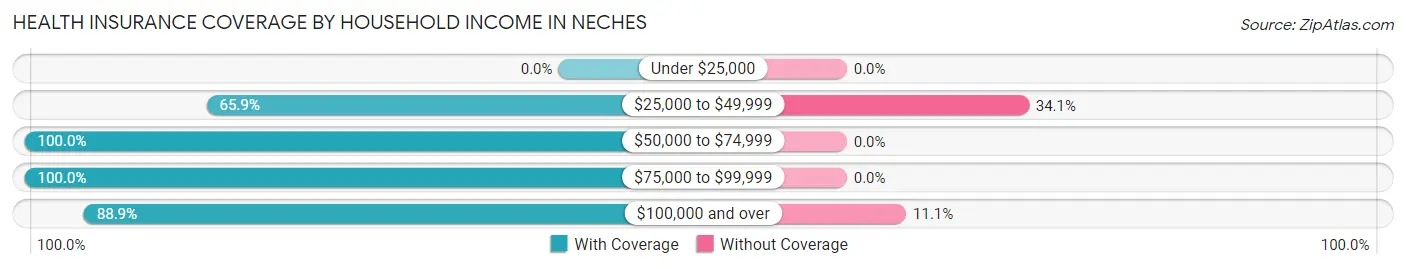 Health Insurance Coverage by Household Income in Neches
