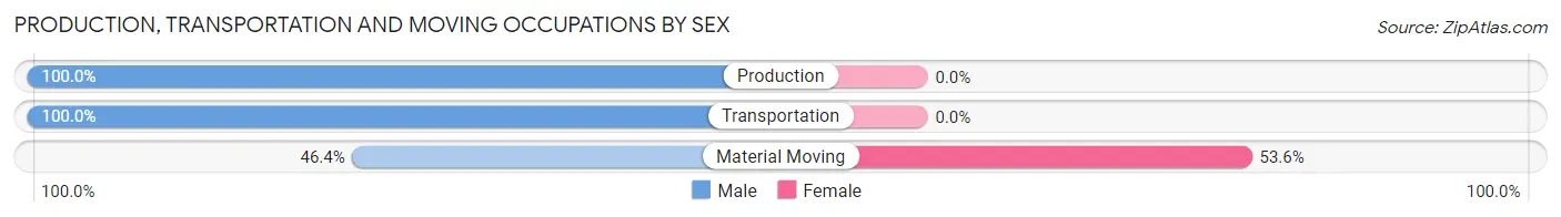 Production, Transportation and Moving Occupations by Sex in New Berlin