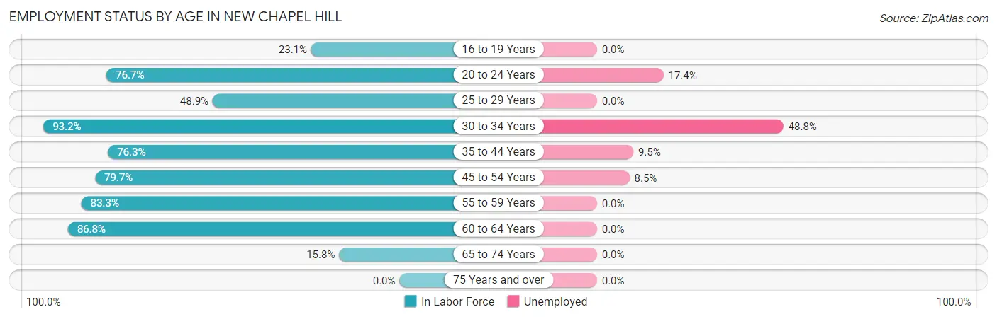 Employment Status by Age in New Chapel Hill