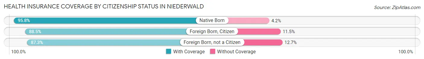 Health Insurance Coverage by Citizenship Status in Niederwald