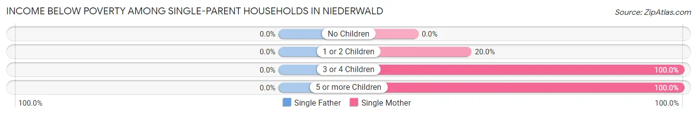 Income Below Poverty Among Single-Parent Households in Niederwald