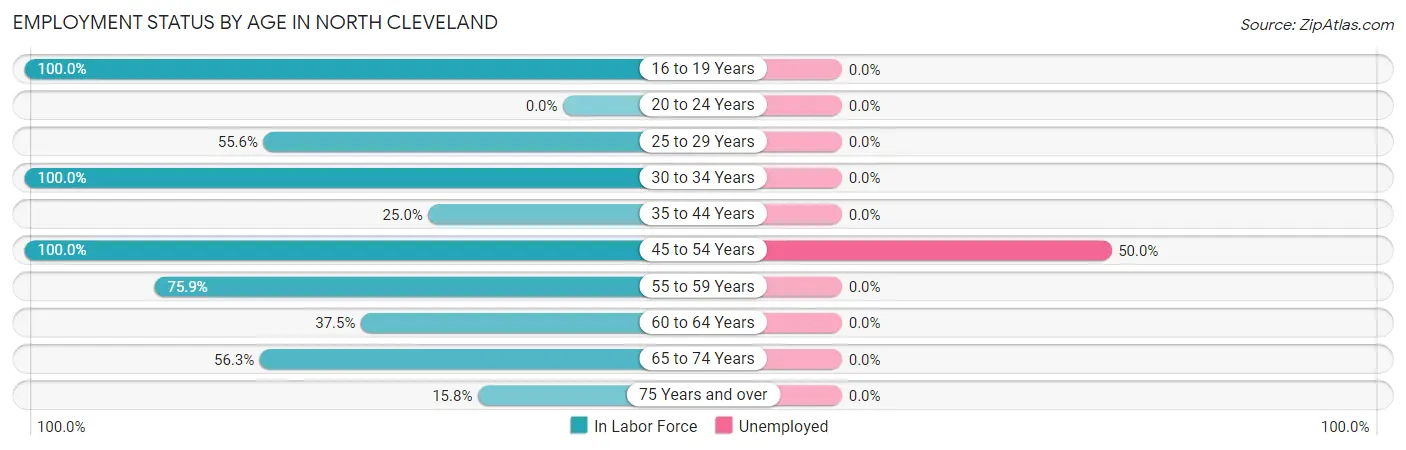Employment Status by Age in North Cleveland