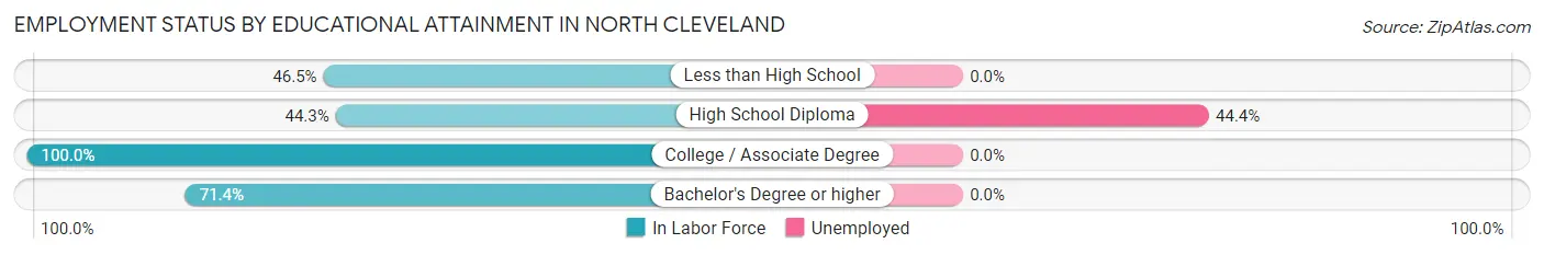 Employment Status by Educational Attainment in North Cleveland