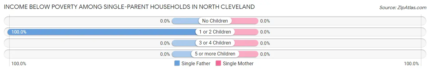Income Below Poverty Among Single-Parent Households in North Cleveland