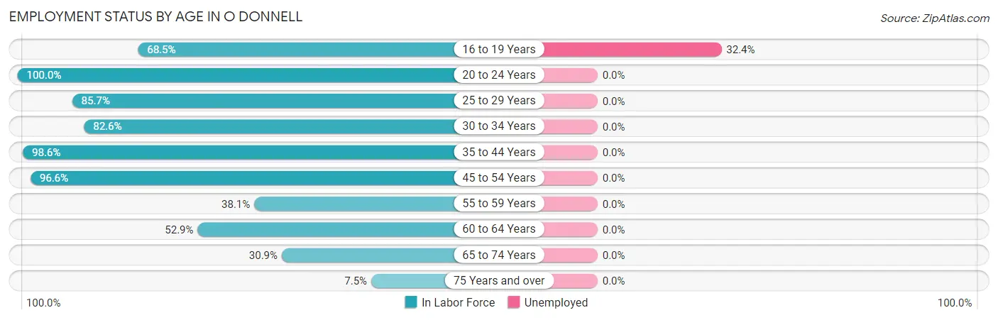 Employment Status by Age in O Donnell