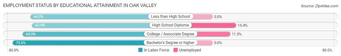 Employment Status by Educational Attainment in Oak Valley
