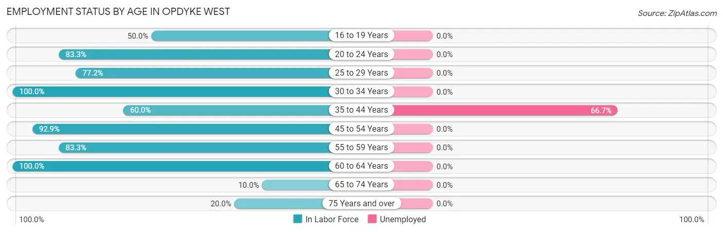 Employment Status by Age in Opdyke West