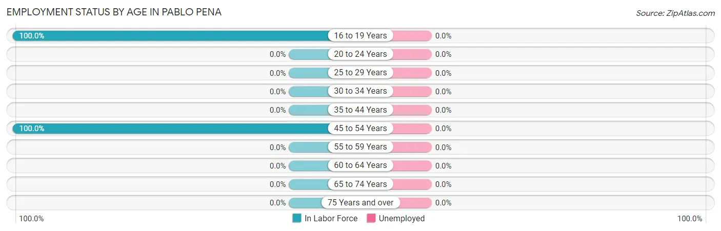 Employment Status by Age in Pablo Pena