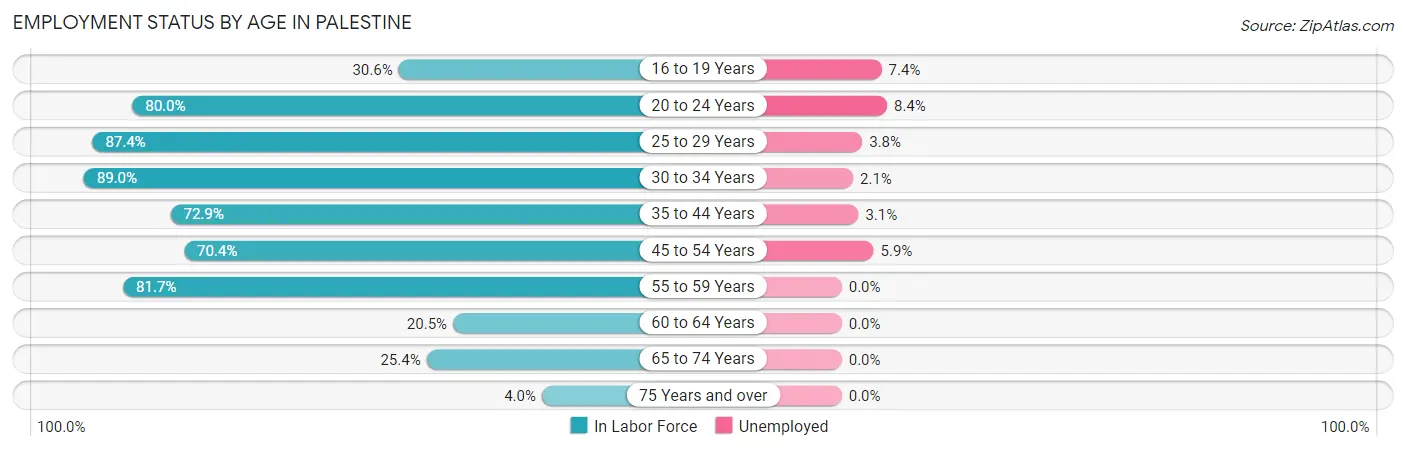 Employment Status by Age in Palestine