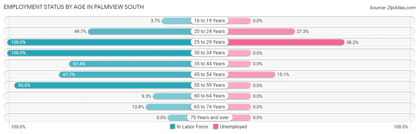 Employment Status by Age in Palmview South