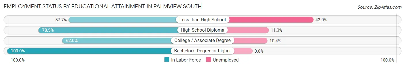 Employment Status by Educational Attainment in Palmview South