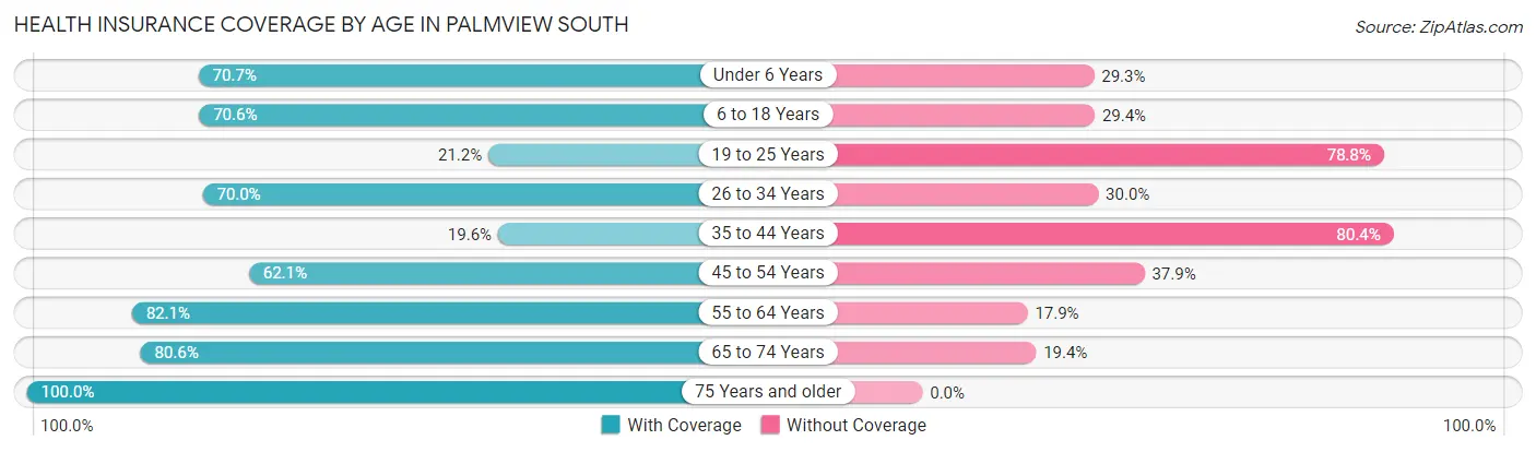 Health Insurance Coverage by Age in Palmview South