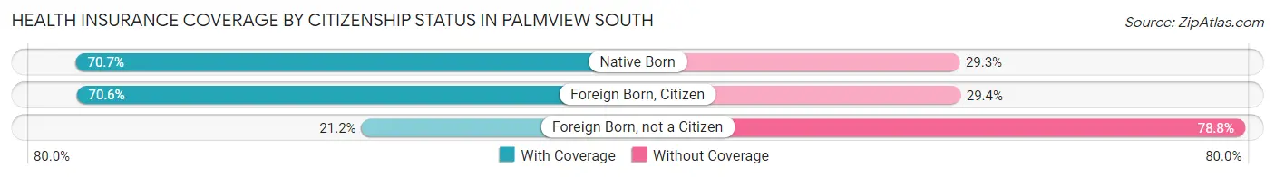 Health Insurance Coverage by Citizenship Status in Palmview South
