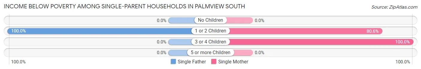 Income Below Poverty Among Single-Parent Households in Palmview South