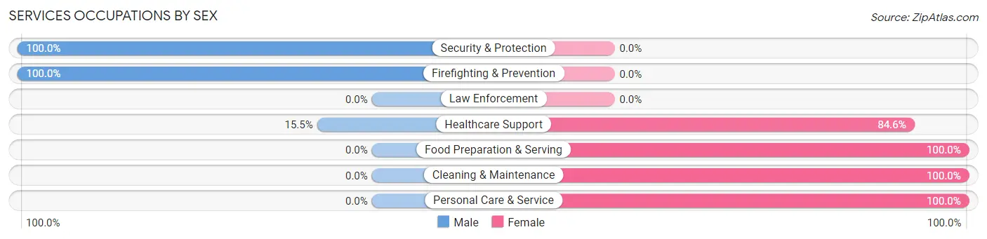 Services Occupations by Sex in Palmview South