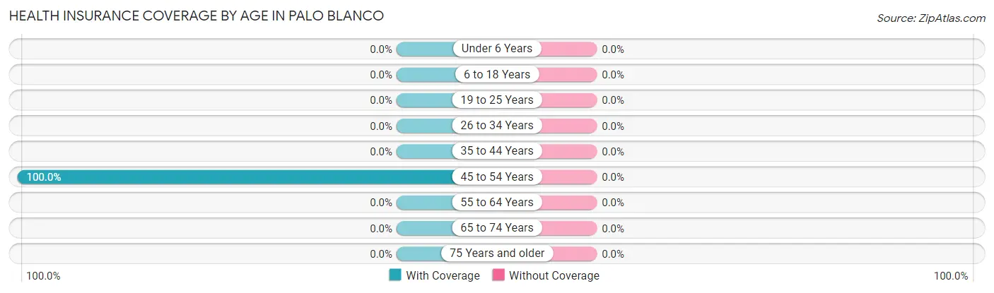 Health Insurance Coverage by Age in Palo Blanco