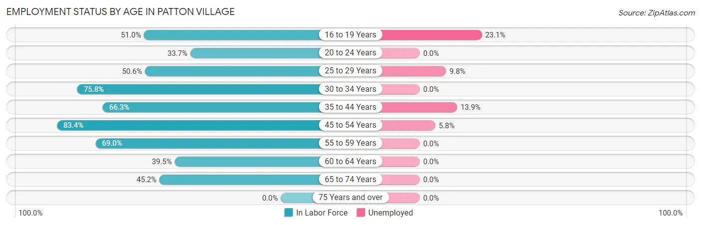 Employment Status by Age in Patton Village