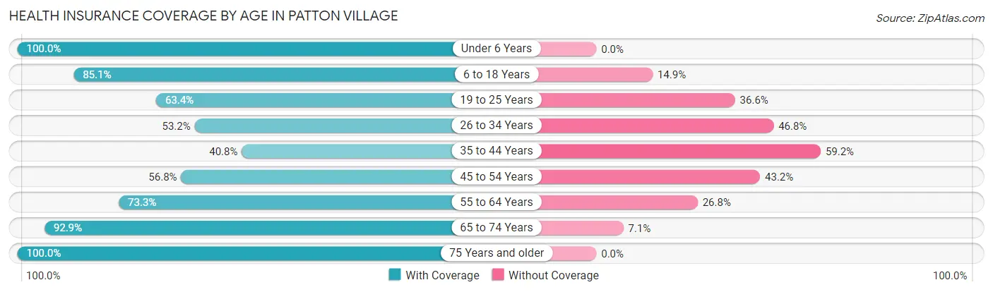 Health Insurance Coverage by Age in Patton Village