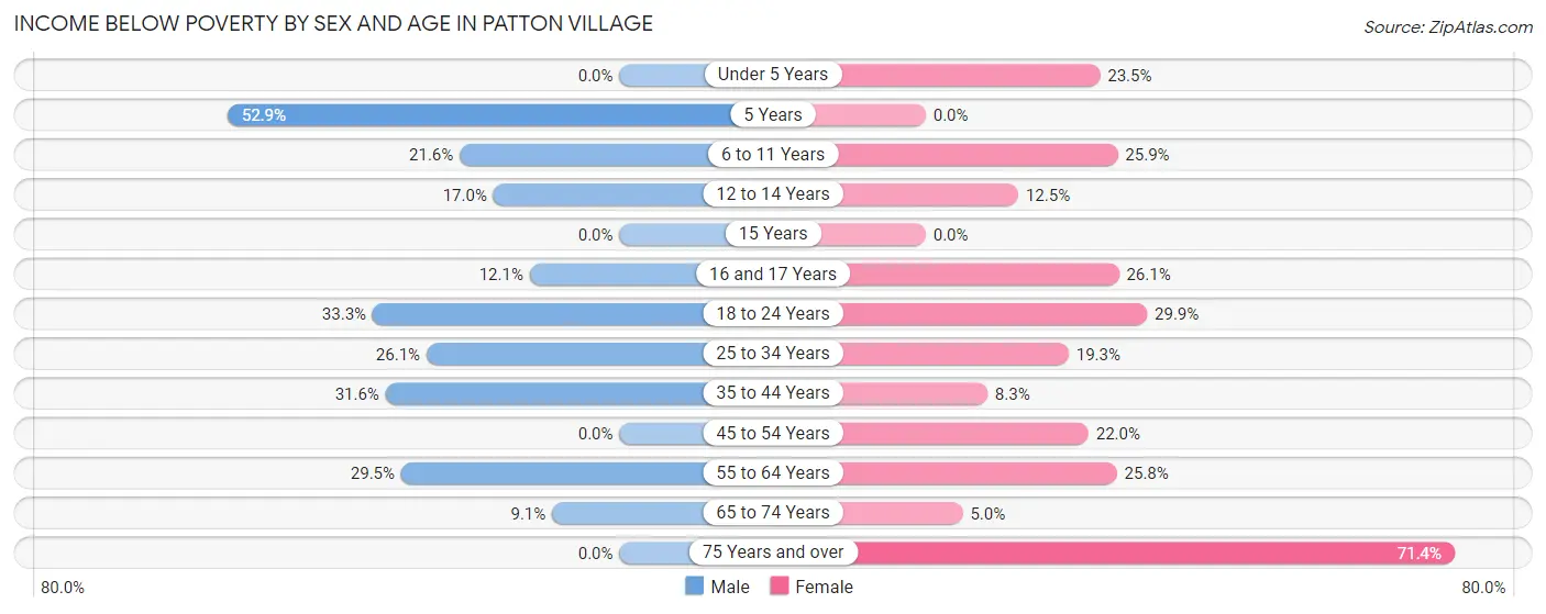 Income Below Poverty by Sex and Age in Patton Village