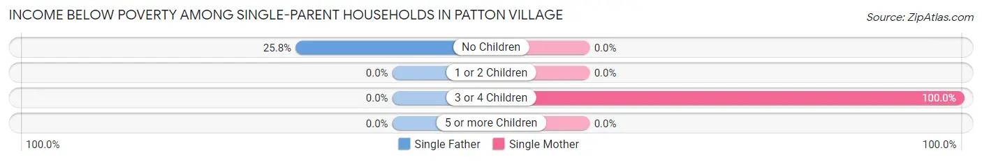 Income Below Poverty Among Single-Parent Households in Patton Village