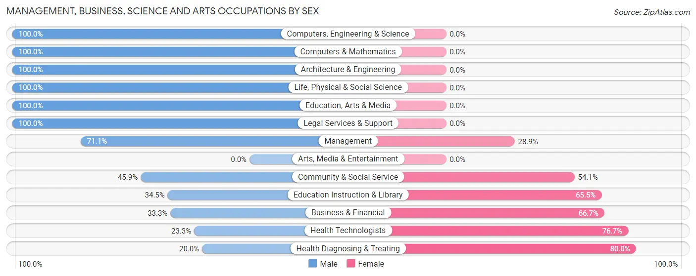 Management, Business, Science and Arts Occupations by Sex in Pecan Acres