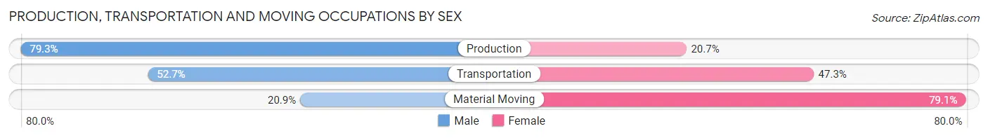Production, Transportation and Moving Occupations by Sex in Pecan Acres
