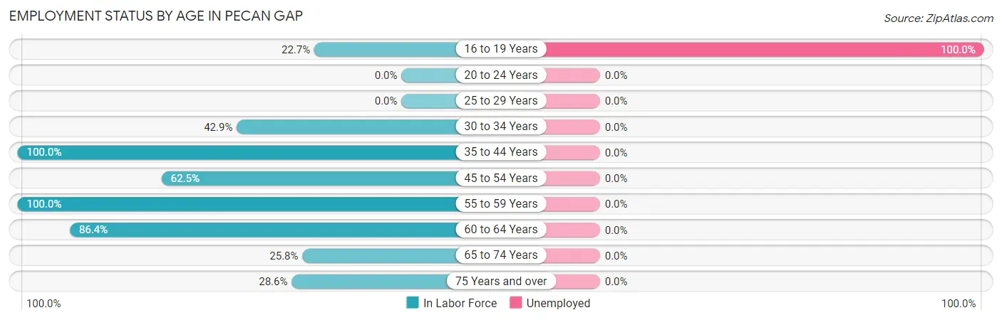 Employment Status by Age in Pecan Gap