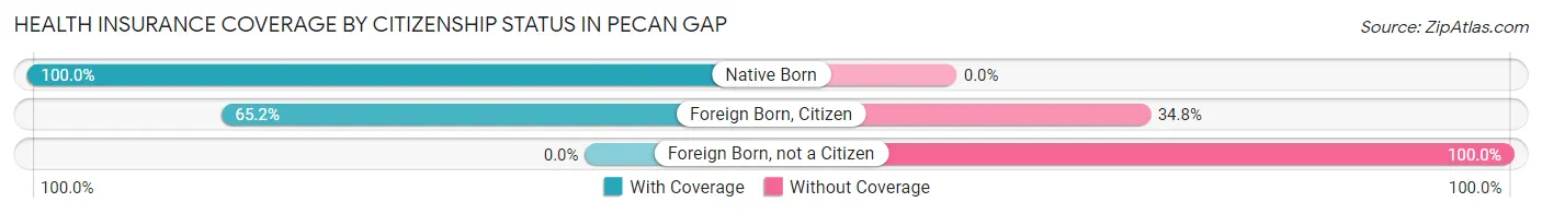 Health Insurance Coverage by Citizenship Status in Pecan Gap